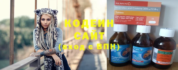 дживик Бронницы