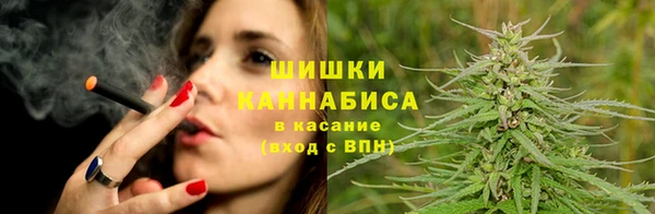 дживик Бронницы