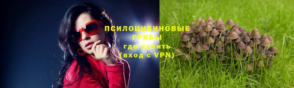 jwh Богданович