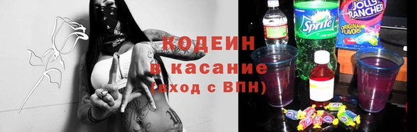 apvp Бородино