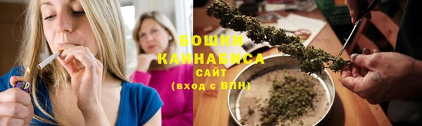 apvp Бородино