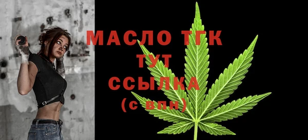 apvp Бородино
