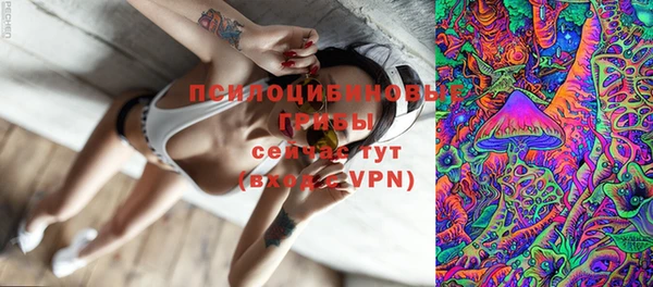 apvp Бородино