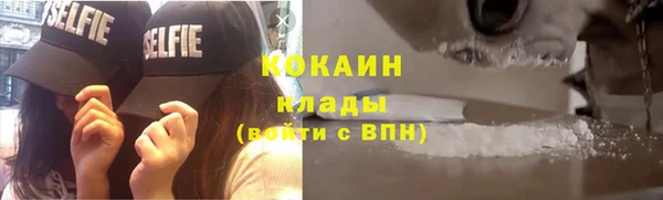 apvp Бородино