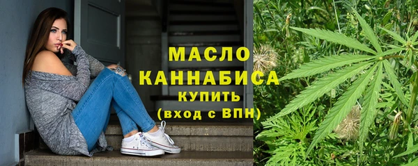 дживик Бронницы