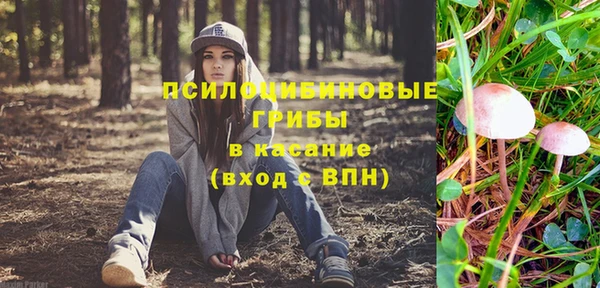 дживик Бронницы