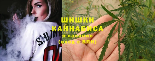 apvp Бородино