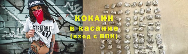 дживик Бронницы