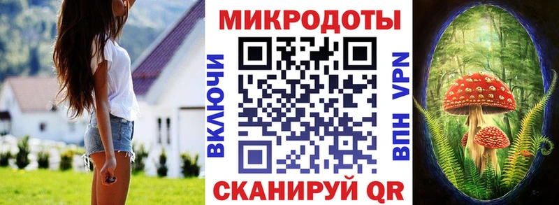 KRAKEN вход  Грязовец  Галлюциногенные грибы MAGIC MUSHROOMS 
