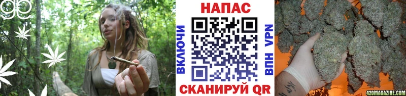где купить наркоту  Грязовец  МАРИХУАНА THC 21% 